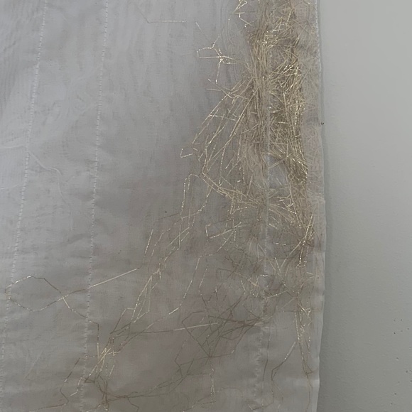 Gold and Silver Threaded Transparent Pants - Picture 3 of 5